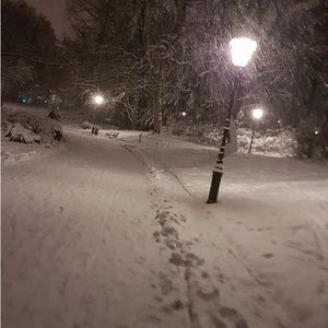 Meet your Posher, Gracie